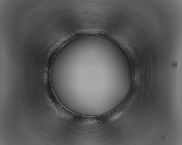 X0000091080206200708271243