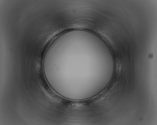 X0000091080208200708271243