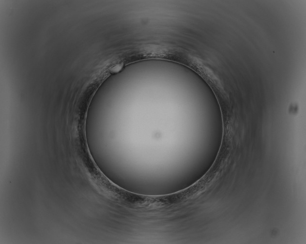 X0000091080209200708271243