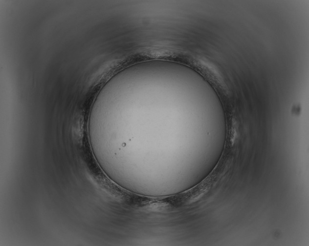 X0000091080210200708271243