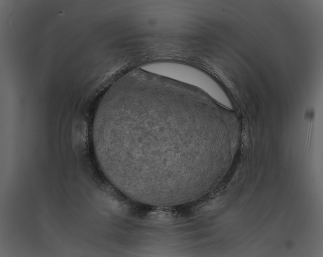 X0000091080211200708271243