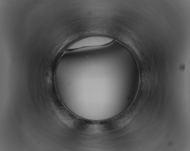 X0000091080212200708271242