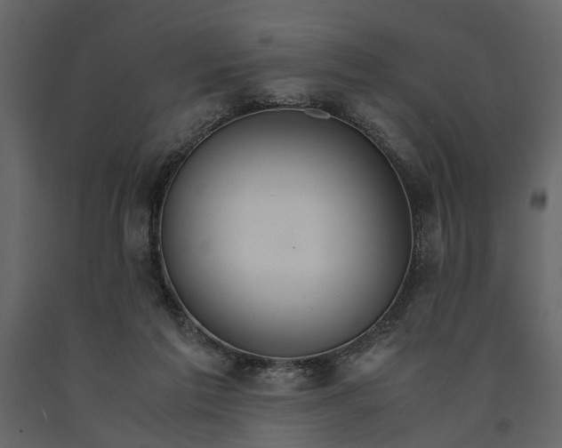 X0000091080213200708271242