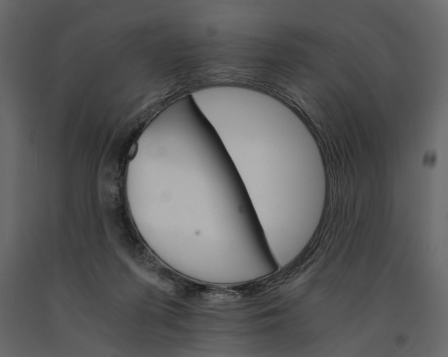 X0000091080215200708271242