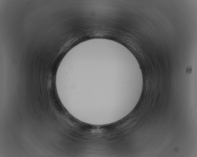 X0000091080216200708271242