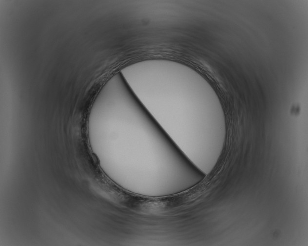 X0000091080217200708271242