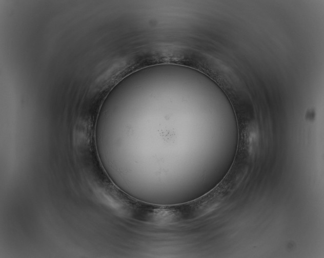 X0000091080218200708271242