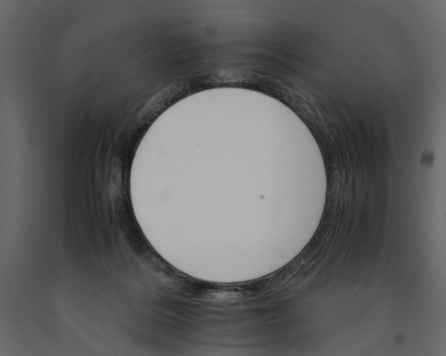 X0000091080220200708271242