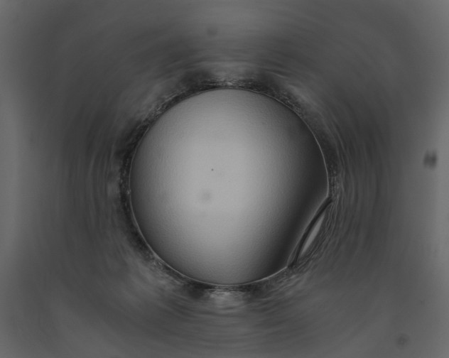 X0000091080221200708271242