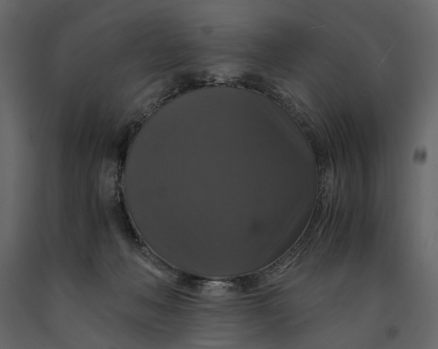 X0000091080222200708271242