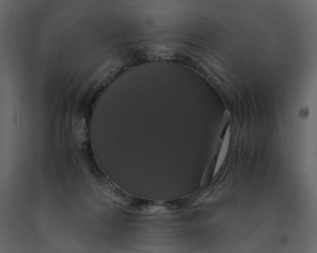 X0000091080224200708271242