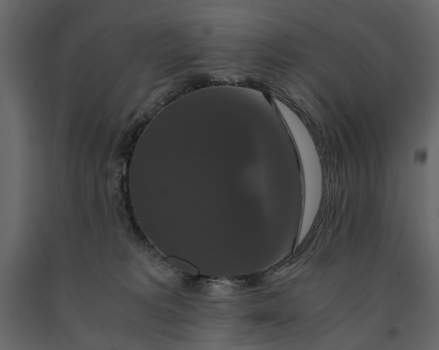 X0000091080229200708271242