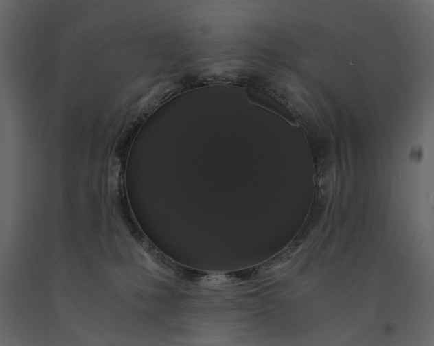 X0000091080231200708271242