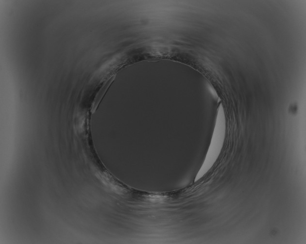 X0000091080233200708271242