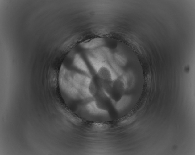 X0000091080234200708271242