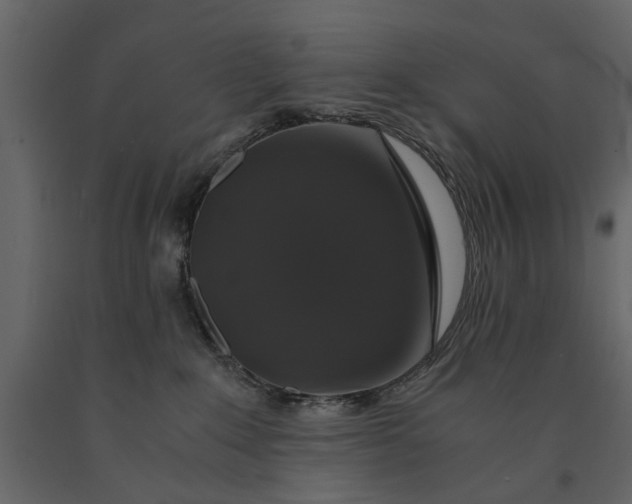 X0000091080235200708271242