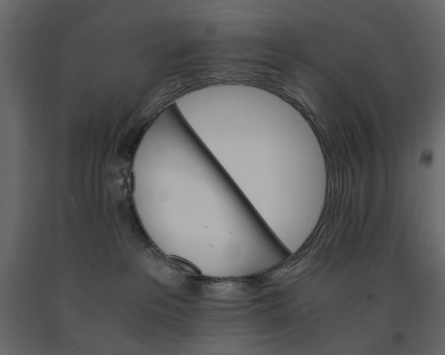 X0000091080237200708271242