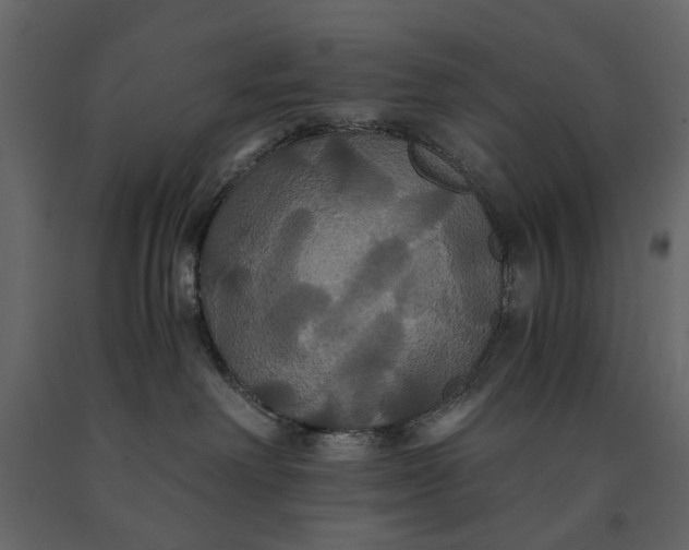 X0000091080238200708271242