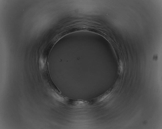 X0000091080239200708271242