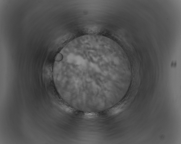 X0000091080240200708271242