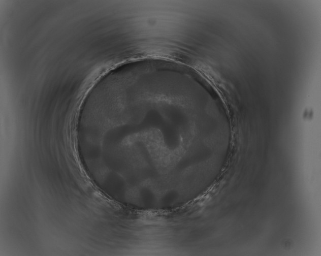 X0000091080241200708271241