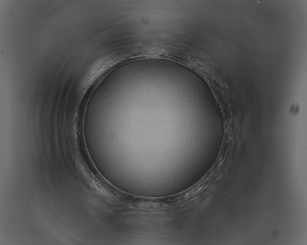 X0000091080242200708271241