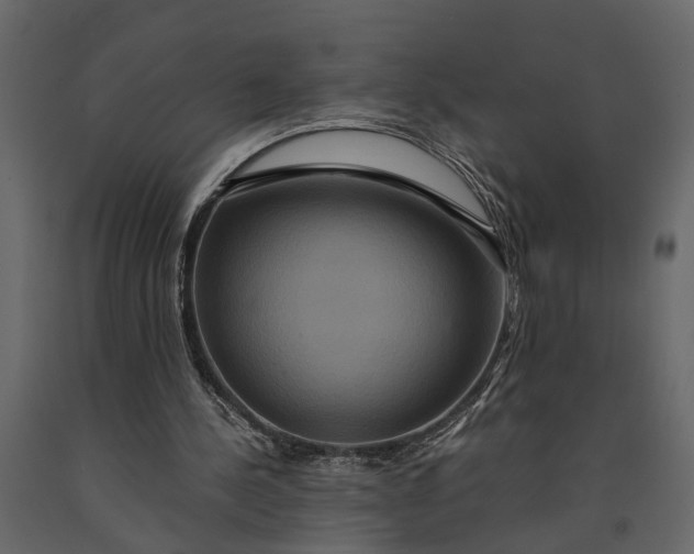 X0000091080244200708271241