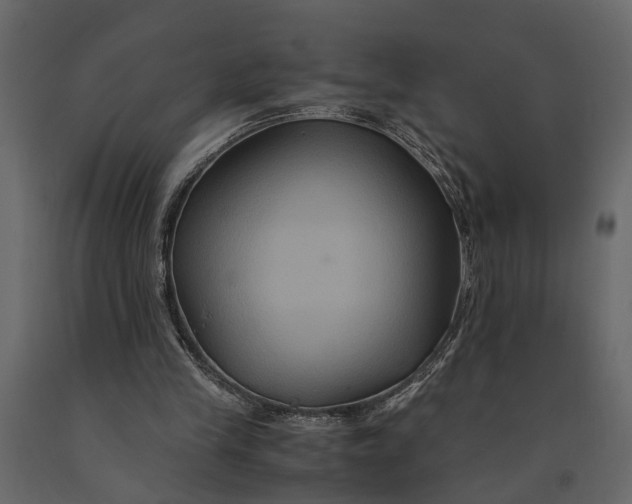 X0000091080245200708271241