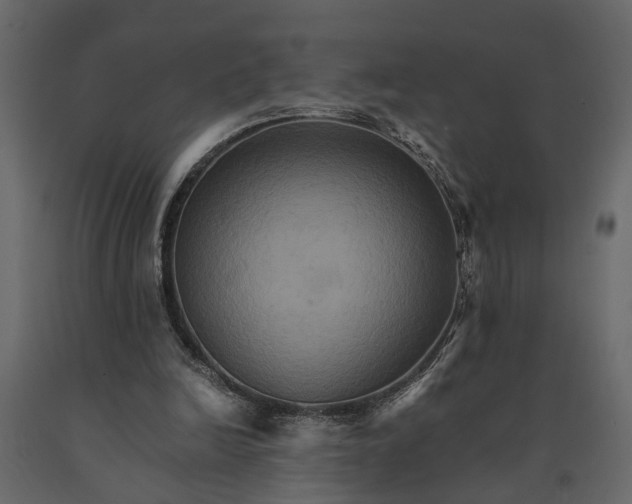 X0000091080246200708271241