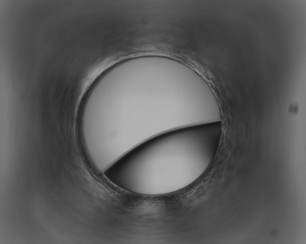 X0000091080248200708271241