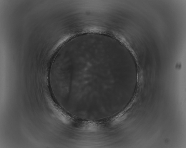 X0000091080249200708271241