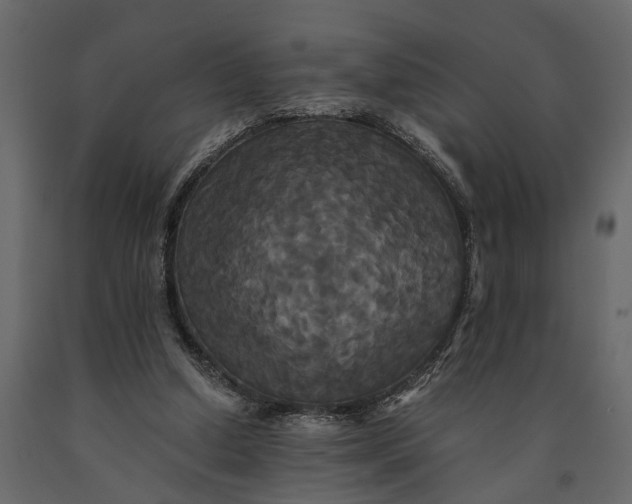 X0000091080250200708271241