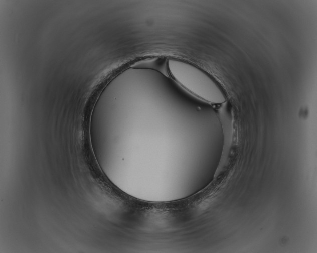 X0000091080252200708271242