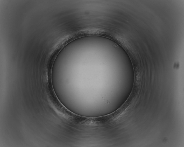 X0000091080254200708271242