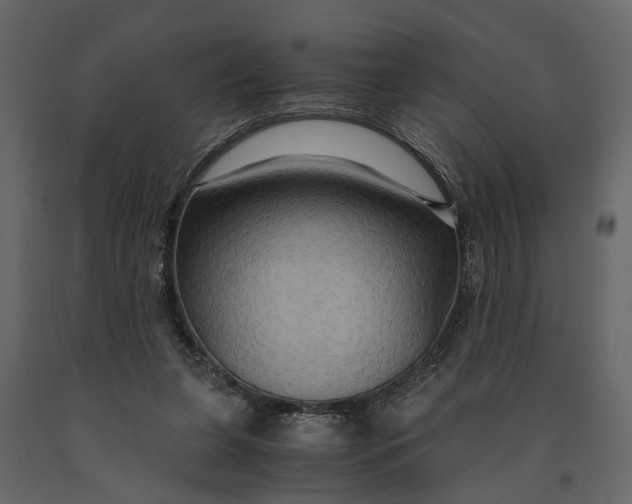 X0000091080255200708271242