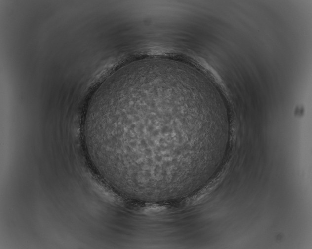 X0000091080257200708271242