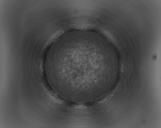 X0000091080258200708271242