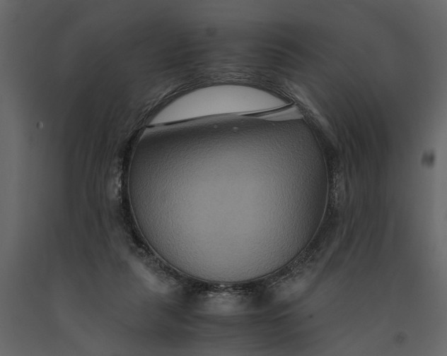 X0000091080259200708271242