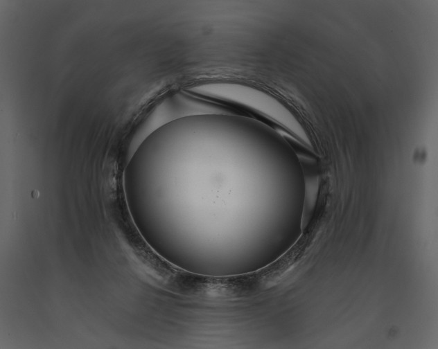 X0000091080264200708271242