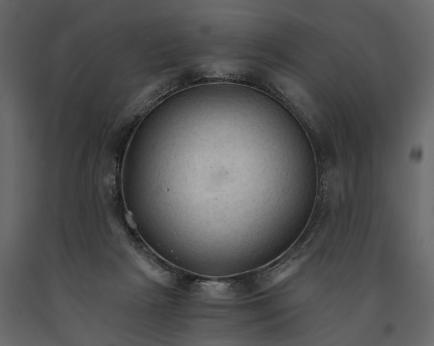 X0000091080265200708271242