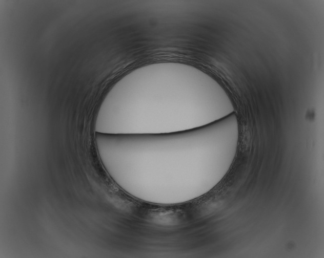 X0000091080267200708271242