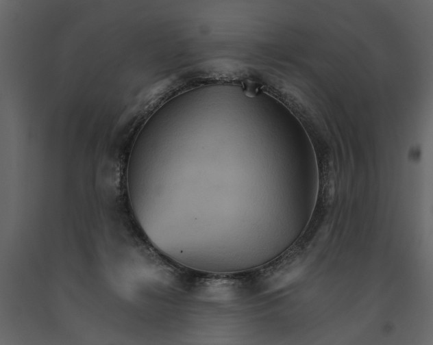 X0000091080268200708271242