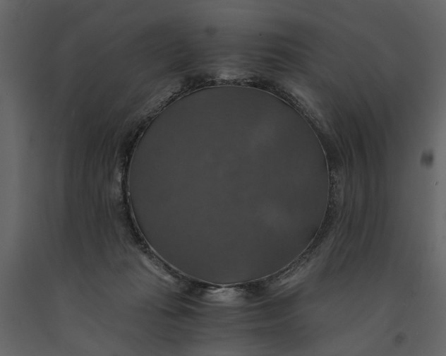 X0000091080269200708271242