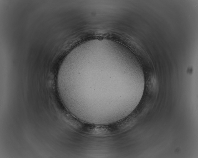 X0000091080270200708271242