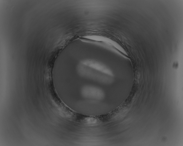 X0000091080272200708271242