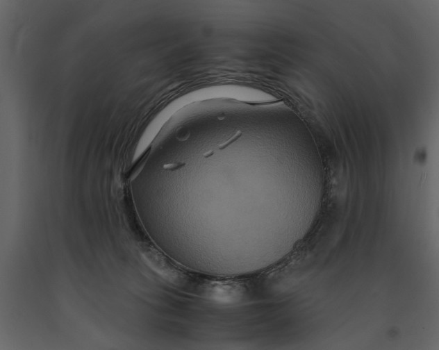 X0000091080275200708271242