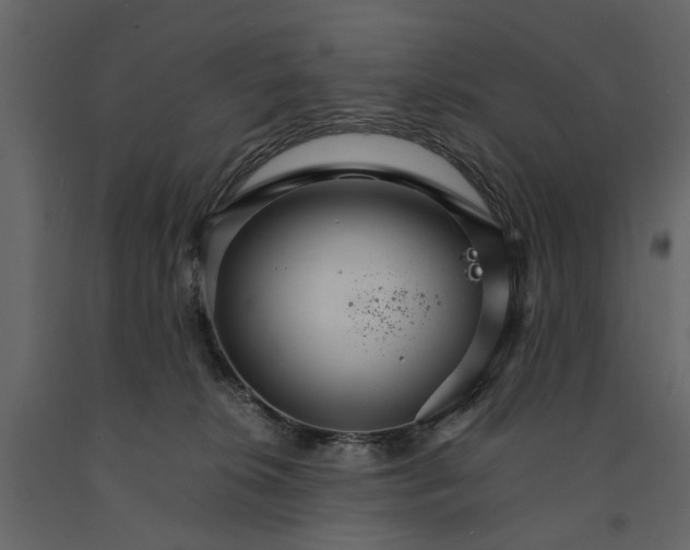 X0000091080276200708271242