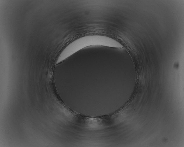 X0000091080277200708271242