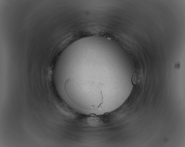 X0000091080279200708271242