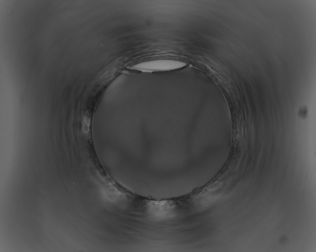 X0000091080281200708271242